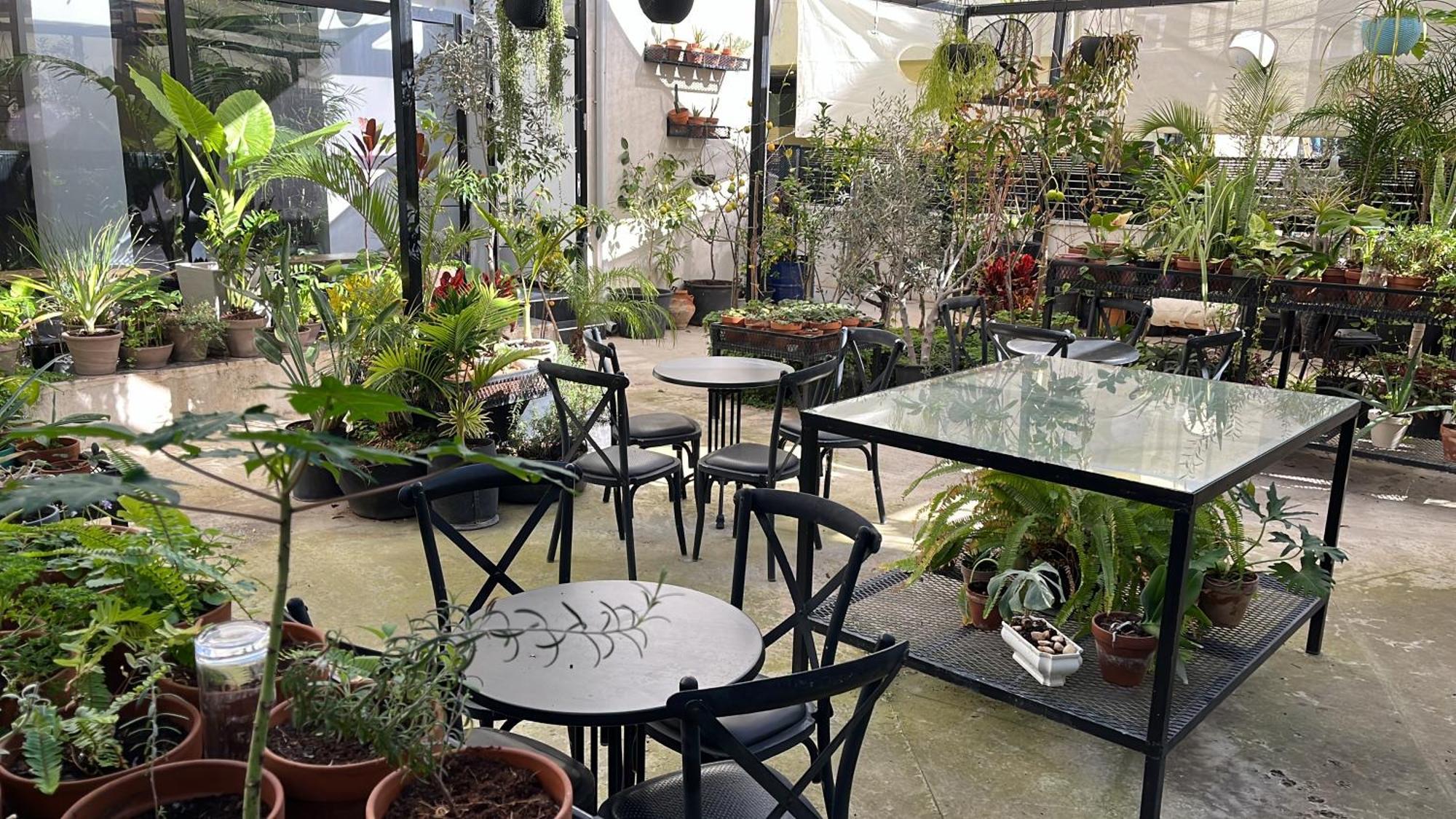 Yona 8 Bed & Breakfast Tel Aviv Bagian luar foto