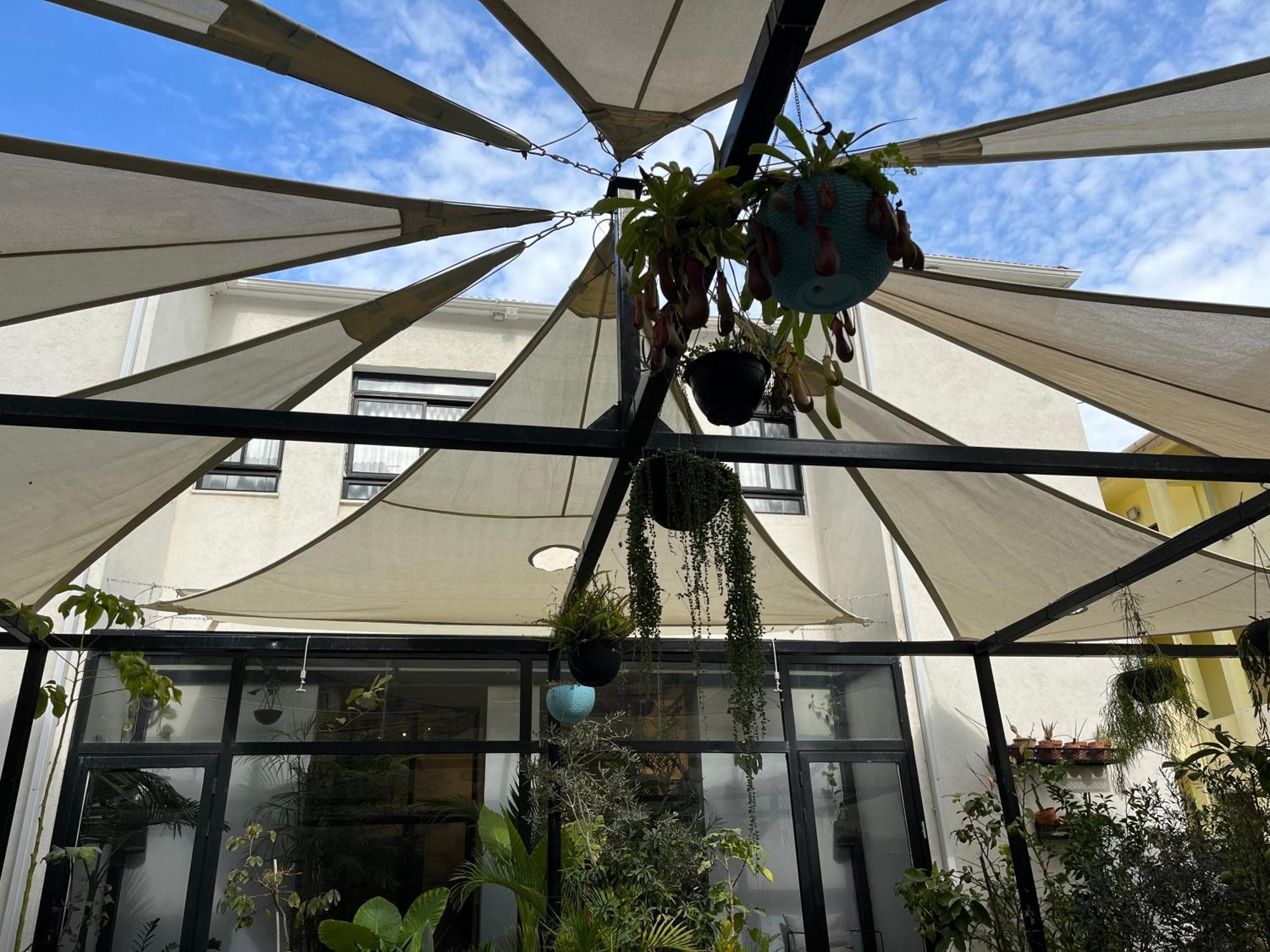 Yona 8 Bed & Breakfast Tel Aviv Bagian luar foto